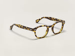 The LEMTOSH in Tokyo Tortoise