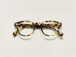 The LEMTOSH in Tokyo Tortoise